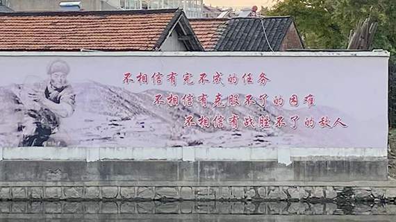 1636693641840926.jpg 楊3.jpg